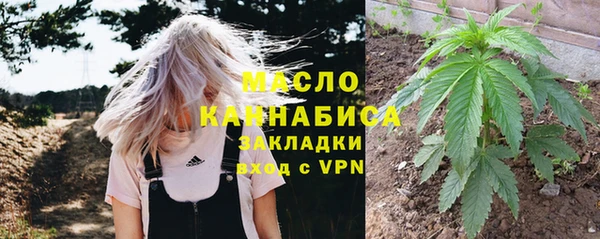 крисы Бронницы