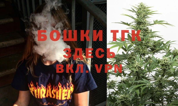 крисы Бронницы