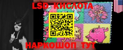 индика Лесосибирск