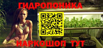 индика Лесосибирск