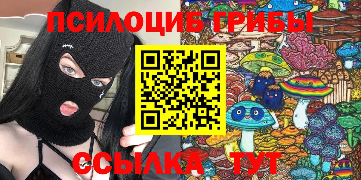 Псилоцибиновые грибы Psilocybe  Вход с VPN  Выборг 