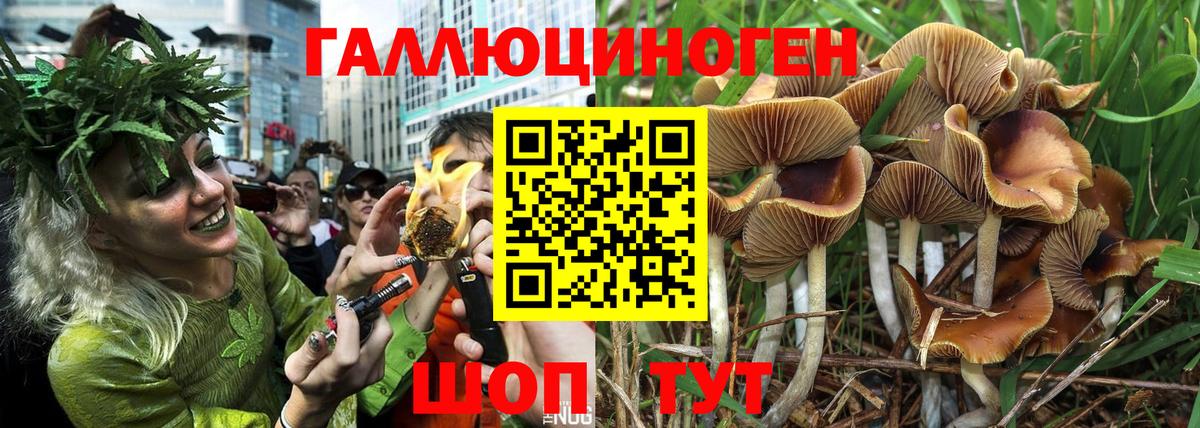 Псилоцибиновые грибы ЛСД Выборг