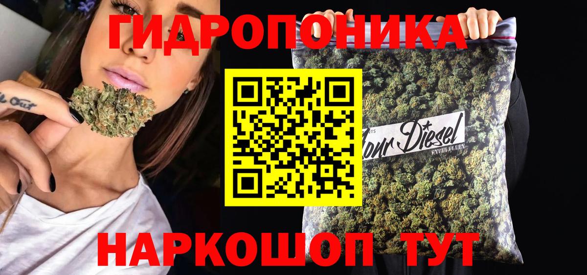 Бошки Шишки план Выборг